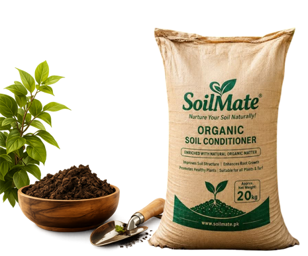 Soil-Banner-02